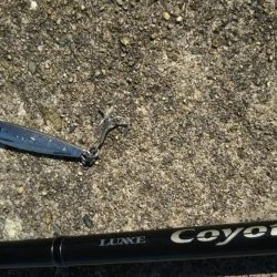 満員御礼で激渋